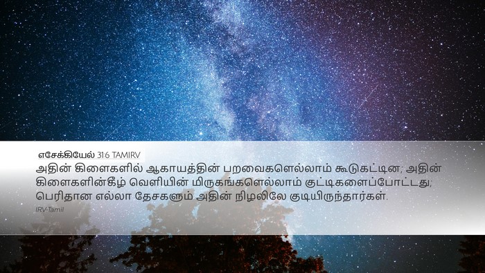 எசேக்கியேல் 31:6 TAMIRV Bible Verse Image