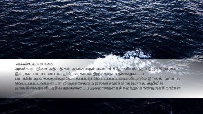 எசேக்கியேல் 32:30 TAMIRV Bible Verse Image