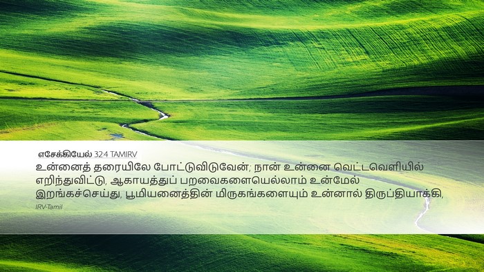 எசேக்கியேல் 32:4 TAMIRV Bible Verse Image