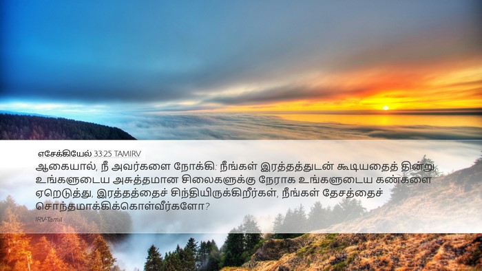 எசேக்கியேல் 33:25 TAMIRV Bible Verse Image
