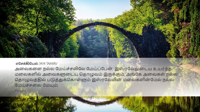 எசேக்கியேல் 34:14 TAMIRV Bible Verse Image