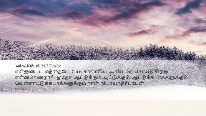எசேக்கியேல் 34:17 TAMIRV Bible Verse Image