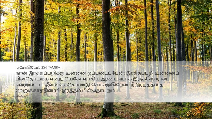எசேக்கியேல் 35:6 TAMIRV Bible Verse Image