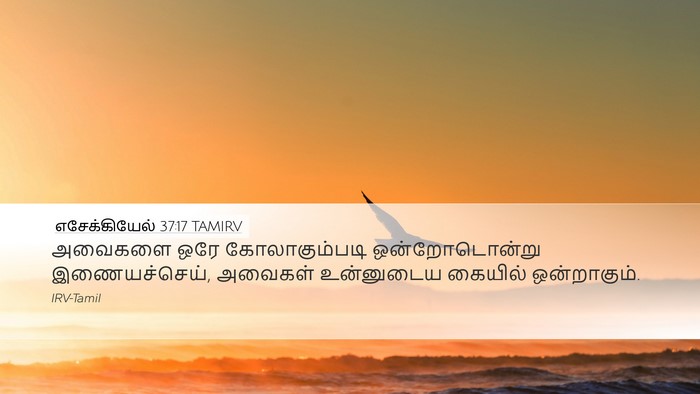 எசேக்கியேல் 37:17 TAMIRV Desktop Wallpaper - அவைகளை ஒரே - Desktop Bible Verse Wallpaper
