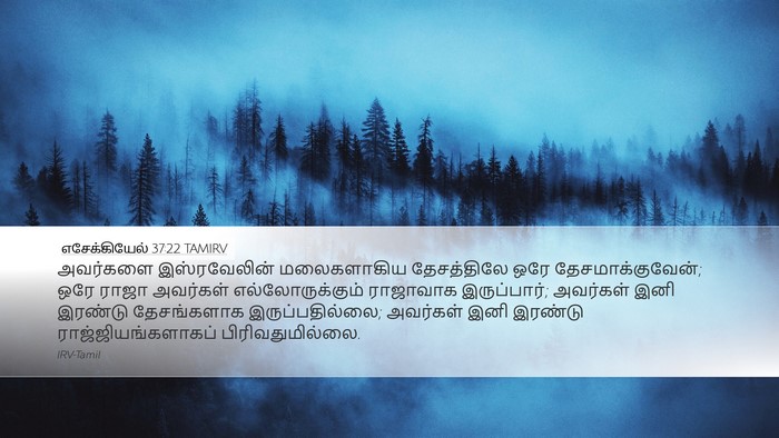 எசேக்கியேல் 37:22 TAMIRV Bible Verse Image