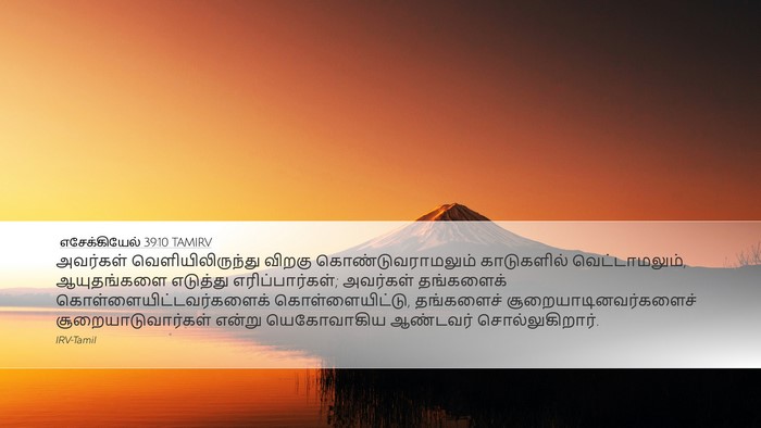 எசேக்கியேல் 39:10 TAMIRV Bible Verse Image