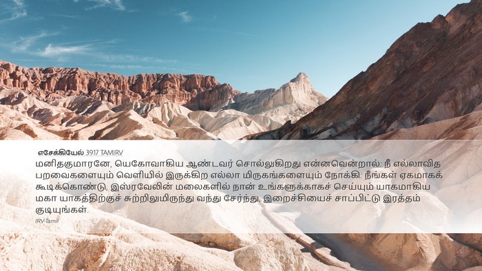 எசேக்கியேல் 39:17 TAMIRV Bible Verse Image
