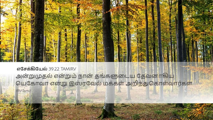 எசேக்கியேல் 39:22 TAMIRV Desktop Wallpaper - அன்றுமுதல் - Desktop Bible Verse Wallpaper
