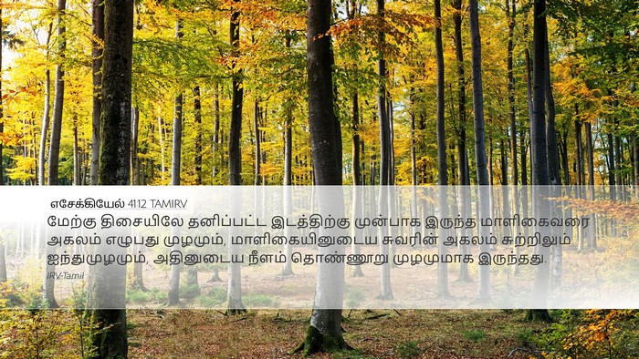 எசேக்கியேல் 41:12 TAMIRV Bible Verse Image