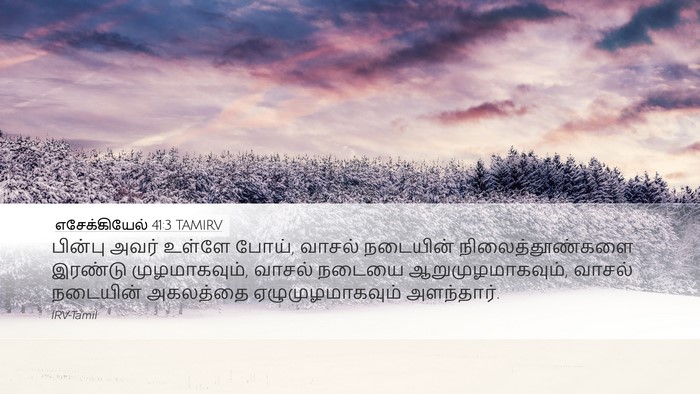 எசேக்கியேல் 41:3 TAMIRV Bible Verse Image