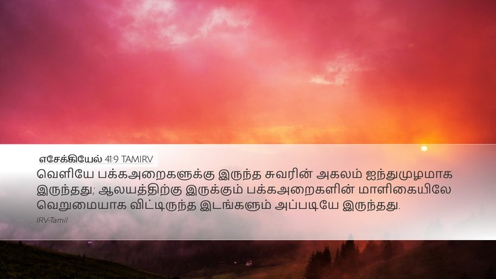 எசேக்கியேல் 41:9 TAMIRV Bible Verse Image