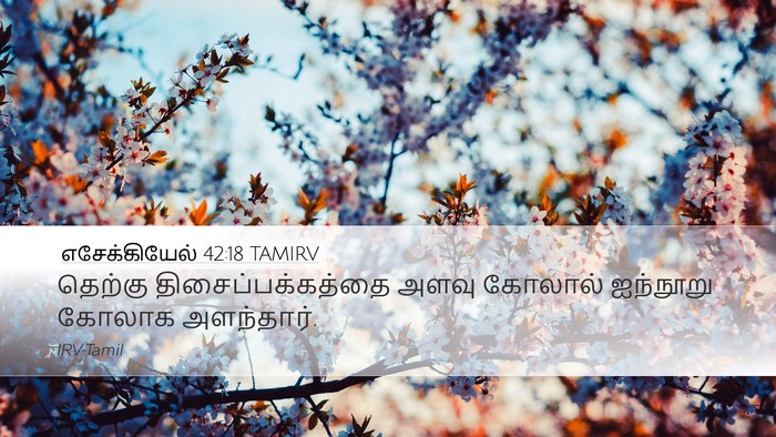 எசேக்கியேல் 42:18 TAMIRV Desktop Wallpaper - தெற்கு - Desktop Bible Verse Wallpaper