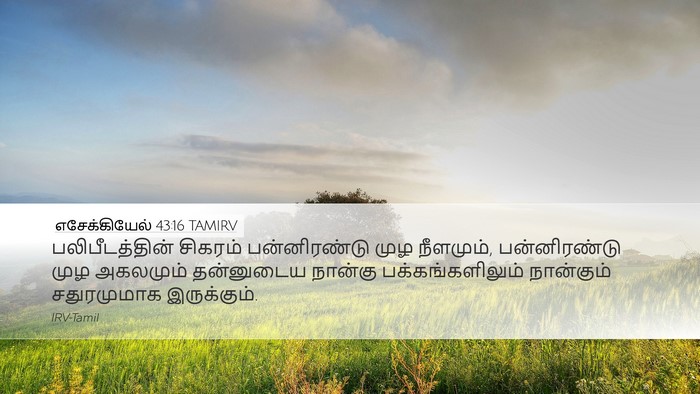 எசேக்கியேல் 43:16 TAMIRV Desktop Wallpaper - பலிபீடத்தின் - Desktop Bible Verse Wallpaper