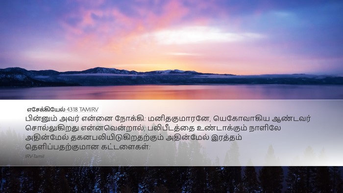 எசேக்கியேல் 43:18 TAMIRV Bible Verse Image