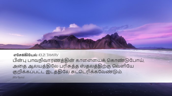 எசேக்கியேல் 43:21 TAMIRV Desktop Wallpaper - பின்பு - Desktop Bible Verse Wallpaper