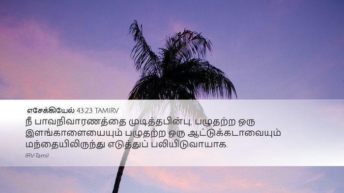 எசேக்கியேல் 43:23 TAMIRV Desktop Wallpaper - நீ பாவநிவாரணத்தை - Desktop Bible Verse Wallpaper