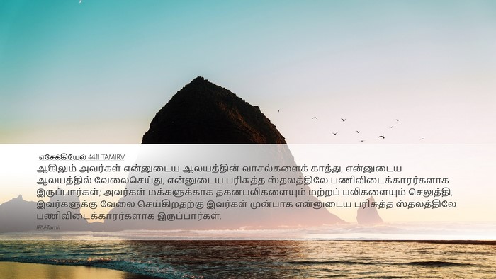 எசேக்கியேல் 44:11 TAMIRV Desktop Wallpaper - ஆகிலும் அவர்கள் - Desktop Bible Verse Wallpaper