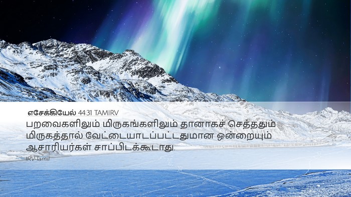 எசேக்கியேல் 44:31 TAMIRV Bible Verse Image
