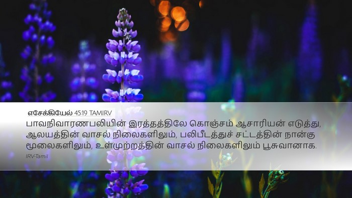 எசேக்கியேல் 45:19 TAMIRV Bible Verse Image