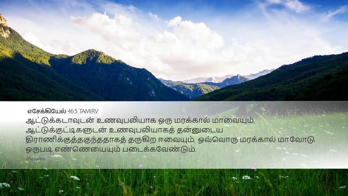 எசேக்கியேல் 46:5 TAMIRV Bible Verse Image