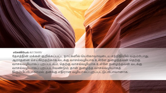 எசேக்கியேல் 46:9 TAMIRV Bible Verse Image