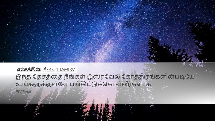 எசேக்கியேல் 47:21 TAMIRV Bible Verse Image