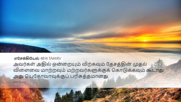 எசேக்கியேல் 48:14 TAMIRV Bible Verse Image