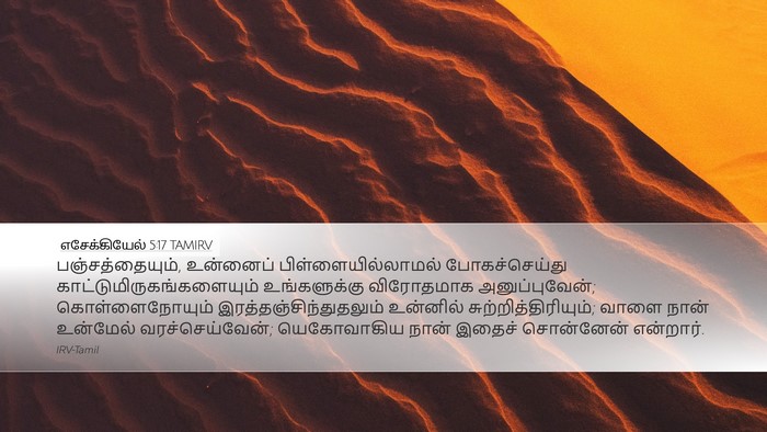 எசேக்கியேல் 5:17 TAMIRV Bible Verse Image
