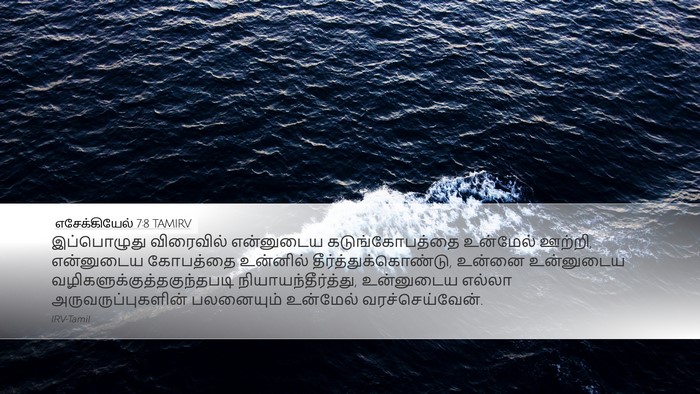 எசேக்கியேல் 7:8 TAMIRV Bible Verse Image