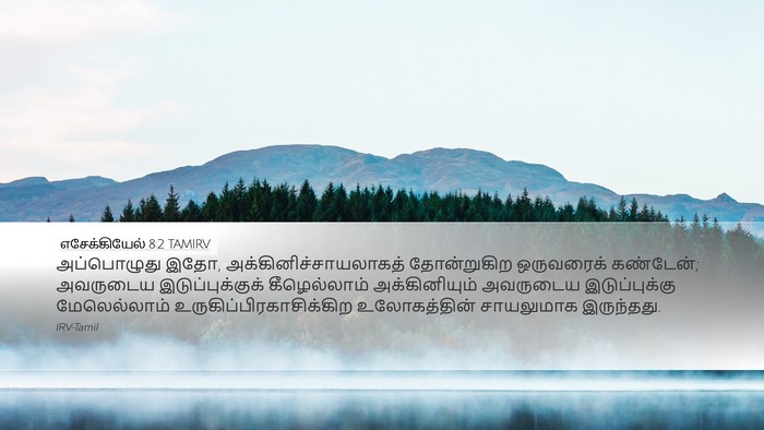 எசேக்கியேல் 8:2 TAMIRV Bible Verse Image