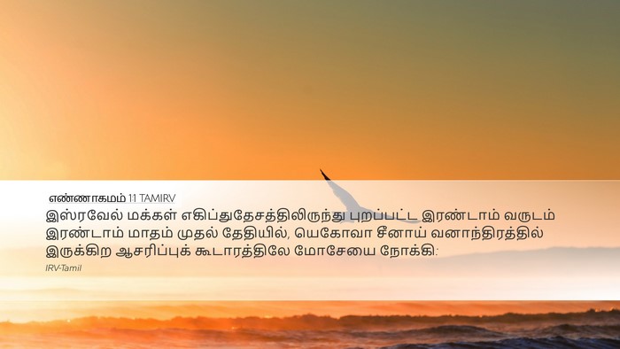 எண்ணாகமம் 1:1 TAMIRV Desktop Wallpaper - இஸ்ரவேல் மக்கள் - Desktop Bible Verse Wallpaper