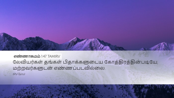 எண்ணாகமம் 1:47 TAMIRV Bible Verse Image