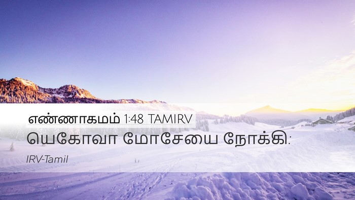 எண்ணாகமம் 1:48 TAMIRV Desktop Wallpaper - யெகோவா மோசேயை - Desktop Bible Verse Wallpaper