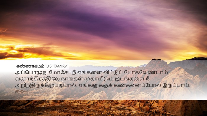 எண்ணாகமம் 10:31 TAMIRV Desktop Wallpaper - அப்பொழுது மோசே: - Desktop Bible Verse Wallpaper