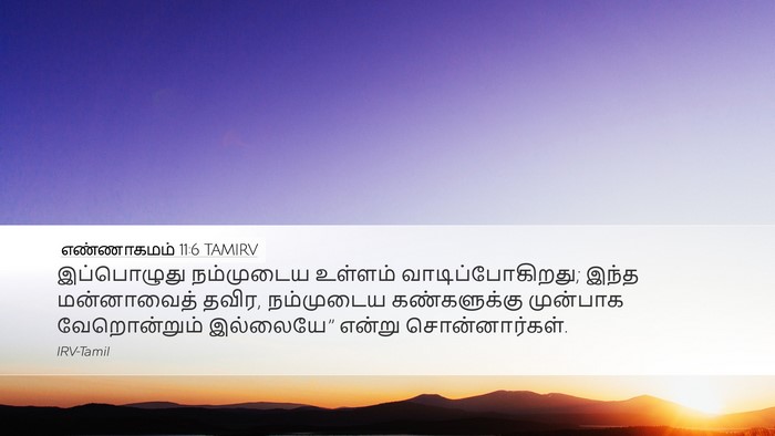 எண்ணாகமம் 11:6 TAMIRV Bible Verse Image