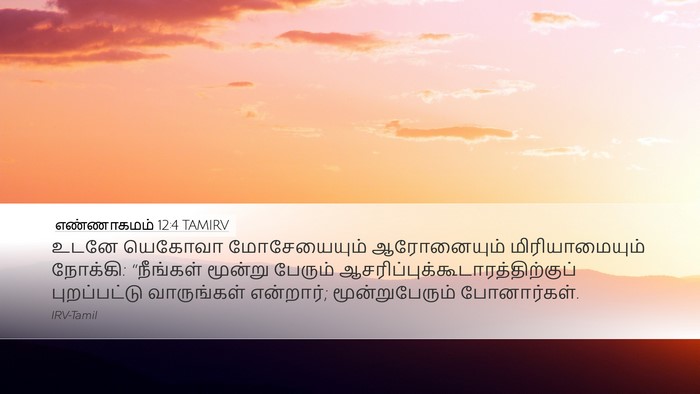 எண்ணாகமம் 12:4 TAMIRV Desktop Wallpaper - உடனே யெகோவா - Desktop Bible Verse Wallpaper