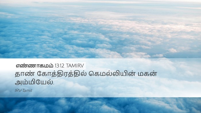 எண்ணாகமம் 13:12 TAMIRV Desktop Wallpaper - தாண் - Desktop Bible Verse Wallpaper