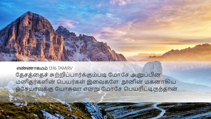 எண்ணாகமம் 13:16 TAMIRV Bible Verse Image