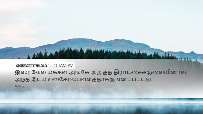 எண்ணாகமம் 13:24 TAMIRV Bible Verse Image