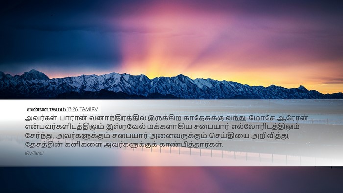 எண்ணாகமம் 13:26 TAMIRV Bible Verse Image