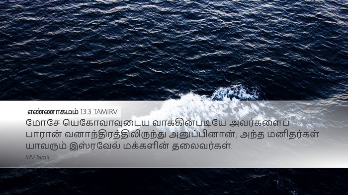 எண்ணாகமம் 13:3 TAMIRV Bible Verse Image
