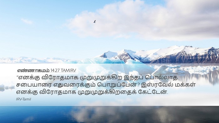 எண்ணாகமம் 14:27 TAMIRV Bible Verse Image