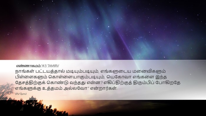 எண்ணாகமம் 14:3 TAMIRV Bible Verse Image