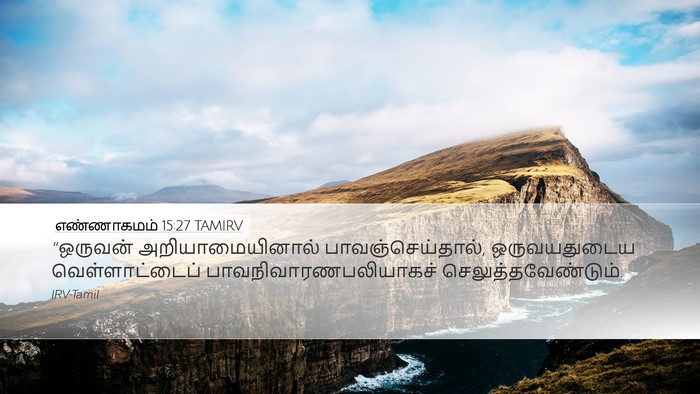 எண்ணாகமம் 15:27 TAMIRV Bible Verse Image