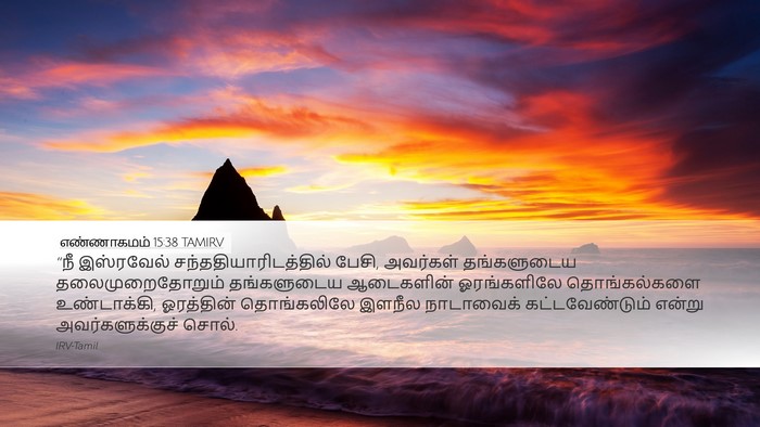 எண்ணாகமம் 15:38 TAMIRV Bible Verse Image