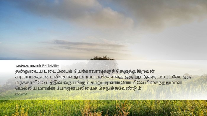 எண்ணாகமம் 15:4 TAMIRV Bible Verse Image