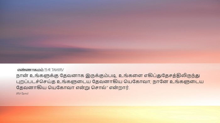 எண்ணாகமம் 15:41 TAMIRV Bible Verse Image