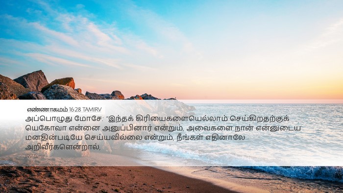 எண்ணாகமம் 16:28 TAMIRV Bible Verse Image