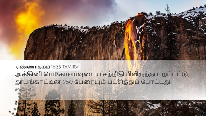 எண்ணாகமம் 16:35 TAMIRV Bible Verse Image
