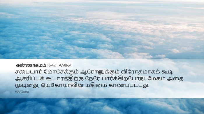 எண்ணாகமம் 16:42 TAMIRV Bible Verse Image